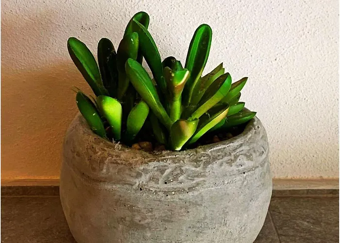 Villa Ca' Berti Teglio